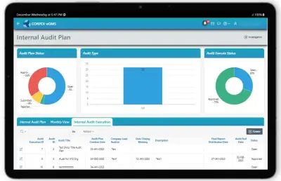 Audit Management Software Interface